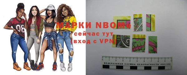 хмурый Алзамай