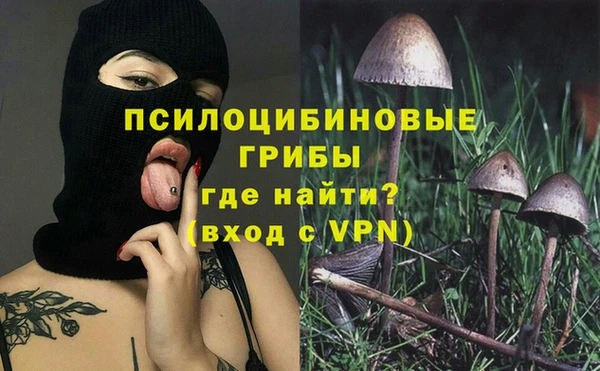 крисы Новодвинск