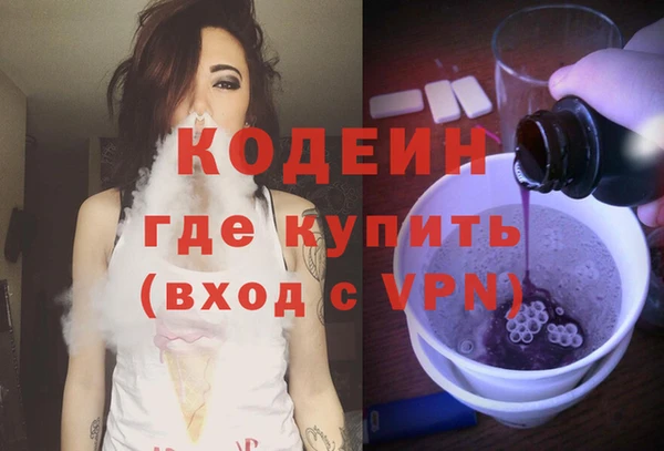 хмурый Алзамай