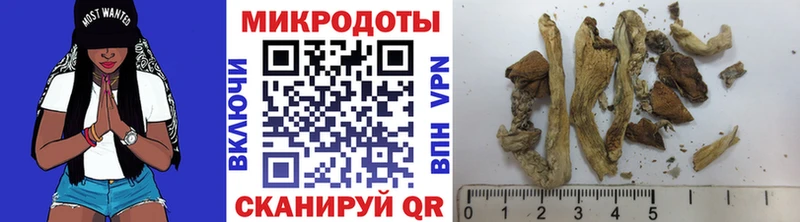 Псилоцибиновые грибы Psilocybine cubensis  Оса 